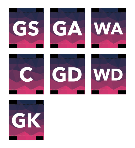 Netball Patches